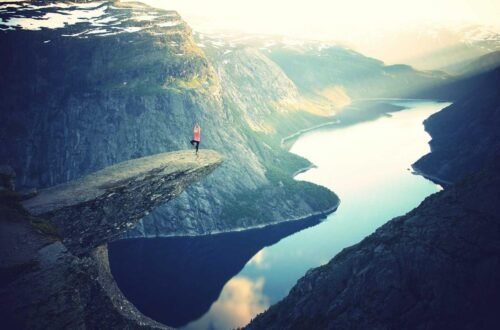 Wellness lifestyle featured image