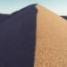Wellness lifestyle featured image