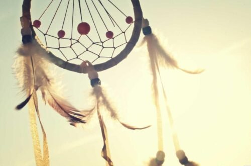 Wellness lifestyle featured image