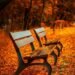 Wellness lifestyle featured image